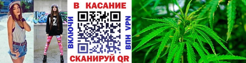 Что такое Камышин МАРИХУАНА  АМФ  Галлюциногенные грибы  А ПВП  Гашиш 