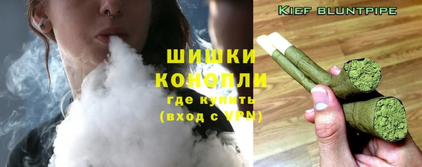 амф Майский