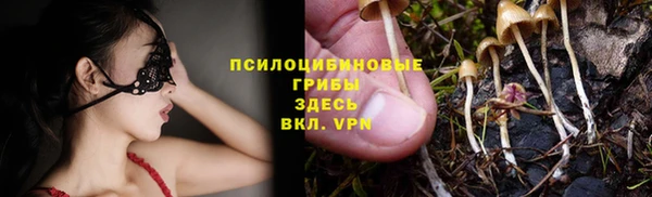 амф Майский