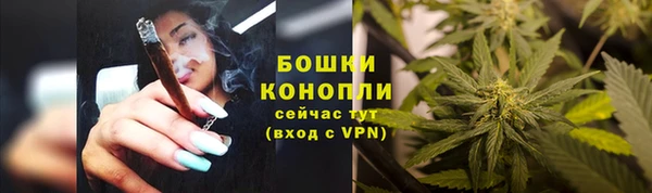 амф Майский