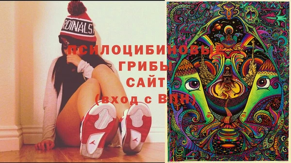 тгк Магадан