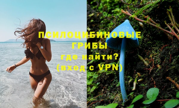 тгк Магадан