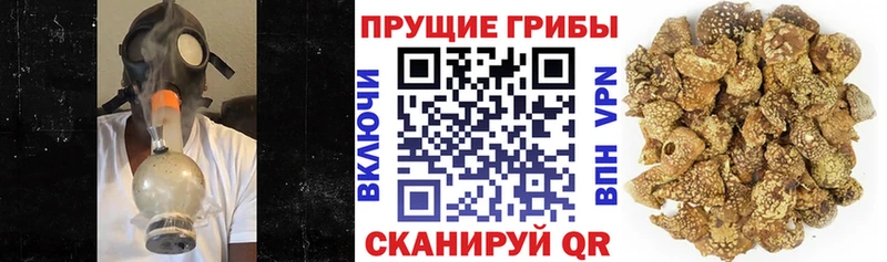 Галлюциногенные грибы ЛСД  Камышин 